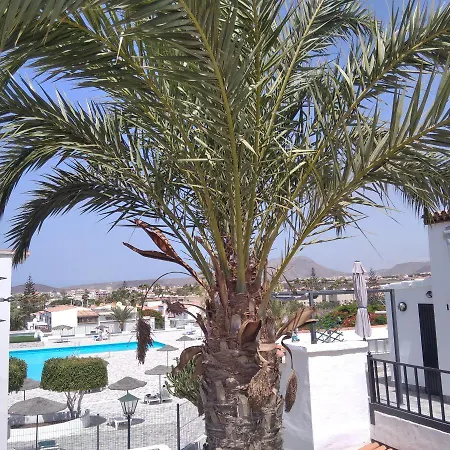 Ama Tenerife Grande Terraza Apartment